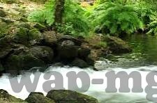 开云体育官网首页入口-开云体育官网首页，迈入体育世界的新门户